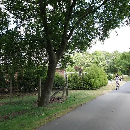 Apartman Lenis Kotte